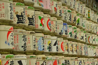 DSC_3274 (Large).JPG